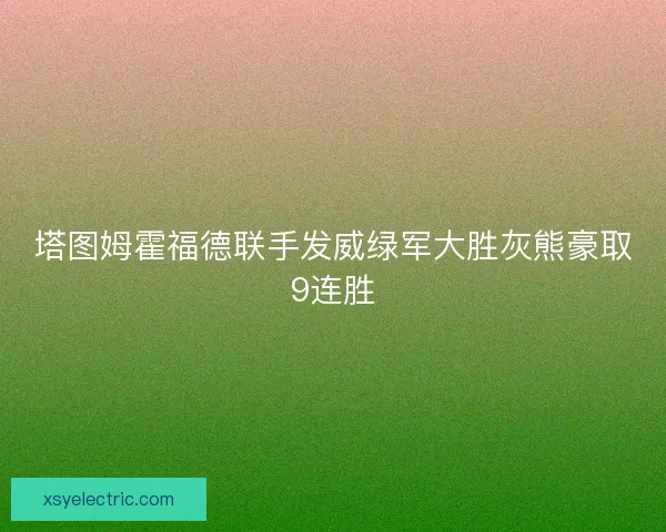 塔图姆霍福德联手发威绿军大胜灰熊豪取9连胜