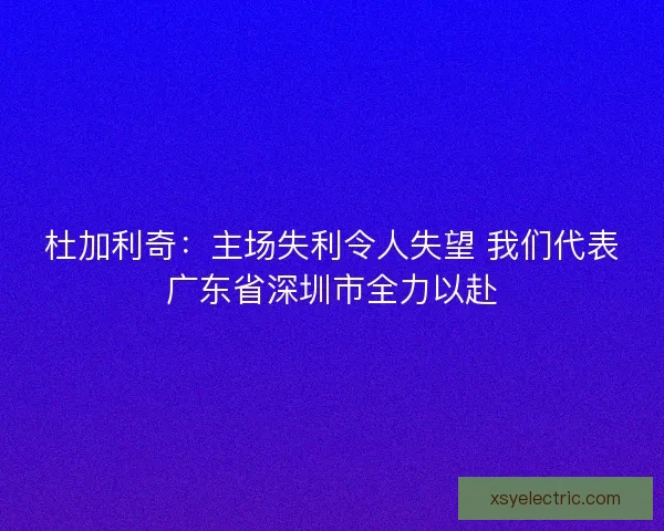 杜加利奇：主场失利令人失望 我们代表广东省深圳市全力以赴