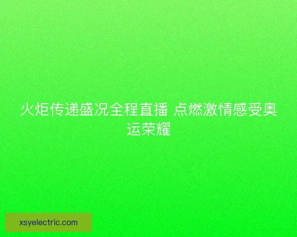 火炬传递盛况全程直播 点燃激情感受奥运荣耀