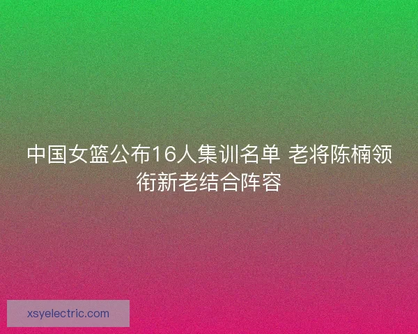 中国女篮公布16人集训名单 老将陈楠领衔新老结合阵容