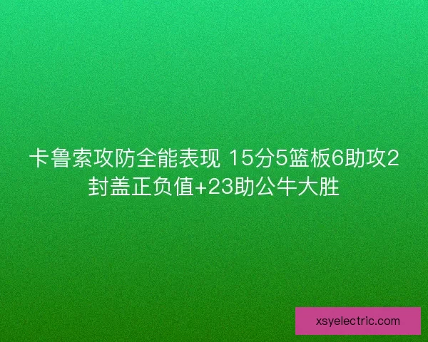 卡鲁索攻防全能表现 15分5篮板6助攻2封盖正负值+23助公牛大胜
