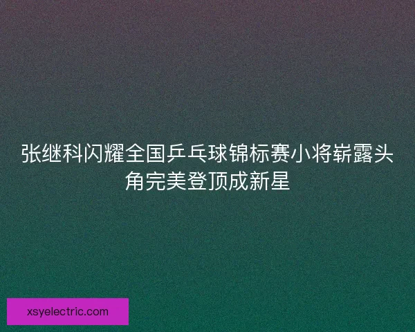张继科闪耀全国乒乓球锦标赛小将崭露头角完美登顶成新星