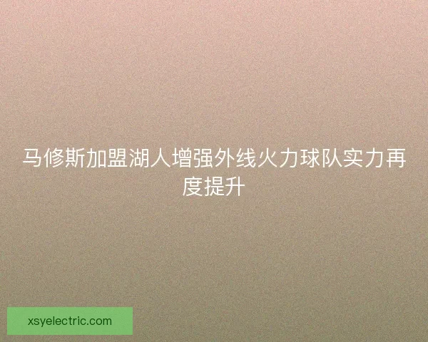 马修斯加盟湖人增强外线火力球队实力再度提升