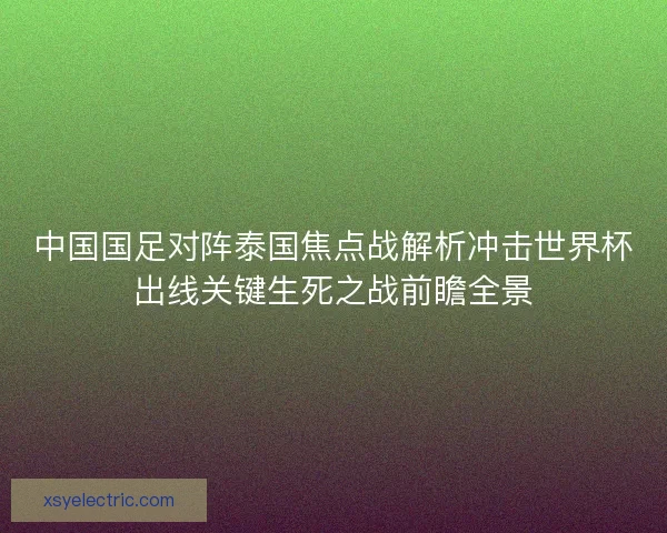 中国国足对阵泰国焦点战解析冲击世界杯出线关键生死之战前瞻全景