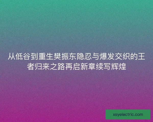从低谷到重生樊振东隐忍与爆发交织的王者归来之路再启新章续写辉煌