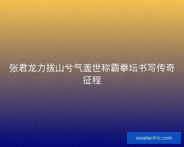 张君龙力拔山兮气盖世称霸拳坛书写传奇征程
