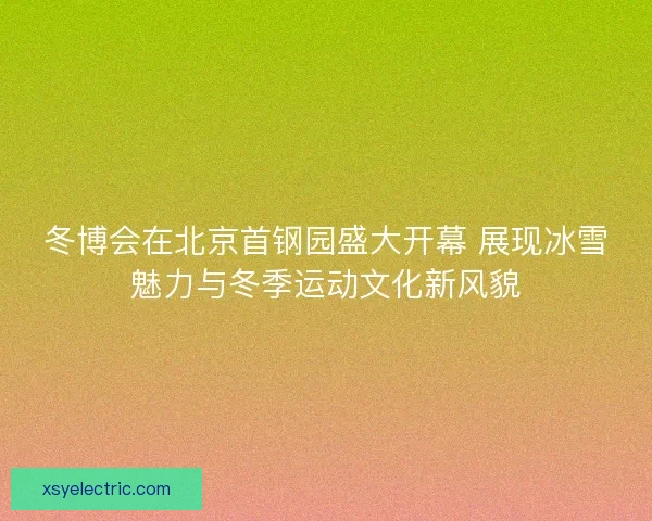 冬博会在北京首钢园盛大开幕 展现冰雪魅力与冬季运动文化新风貌